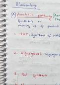 Biochemistry Summary latest Update 2023|2024 Graded A+