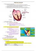 NUR411 Exam 1 Study Guide.