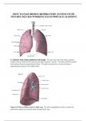 HOW TO PASS BIOD151 RESPIRATORY SYSTEM STUDY FIGURES 2023-2024 WORKING EXAM PORTAGE LEARNING