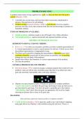 Y2 COGNITIVE PSYCHOLOGY PS2021 LECRTURE NOTES 