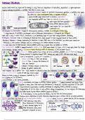 Genome Structure 