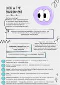 Summary -  Look @ the environment