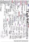 Summary of Carboxylic Acids and Derivatives