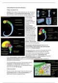 Samenvatting -  From network to behaviour (5234NETB6Y)