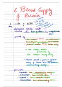 Neuroanatomy