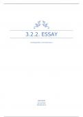 Essay 3.2.2. Essay: visie op SW 