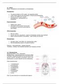 Samenvatting Biologie voor jou 2-3 havo/vwo hoofdstuk 3 - de bloedsomloop