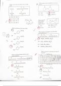 Organic Chemistry Exam Prep