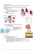 14. Cardiovascular system 