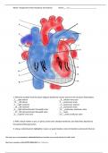  BIO 253 Week 7 Assignment: Heart Anatomy and Activity  Latest Quiz 2023