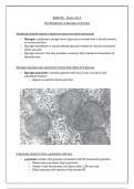 The Metabolism of Glycogen in Animals