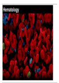 Self-Study-27-Hematology-Oncology-Rheumatology.pdf