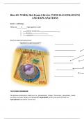 Bios 251 WEEK 3&4 Exam 2 Review WITH ILLUSTRATIONS  AND EXPLANATIONS 