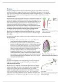 Voordeelbundel Anatomie - leerjaar 1 - blok 4 Choose-2-Move