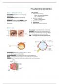 Samenvatting biologie - waarneming en gedrag - vwo 5