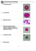 ACAAI board review allergens