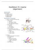 hoofdstuk 15 - insecta  (algemeen)