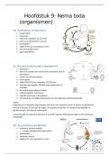 Hoofdstuk 9 - Nema toda (voorbeelden)