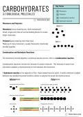 UNIT ONE BIO AQA CARBOHYDRATES