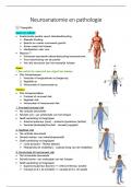 Samenvatting 'neuroanatomie en pathologie' Thomas More Antwerpen