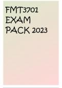 FMT3701 EXAM PACK 2023