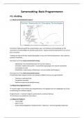 Samenvatting Basis Programmeren - HIR & TEW - 16/20 eerste zit 