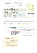 The Cell Membrane - Notes 