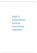  Grade 11 English - Comprehension, Summary and Visual Literacy