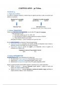 Lengua castellana - Resumen unidades 4, 5, 6 y 12 del libro Dual 2, + figuras retóricas (definiciones y ejemplos) [castellano]