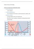 Vascular Physiology 