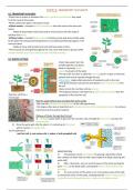 Topic 8: Transport in plants