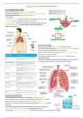 Topic 11: Gas exchange in humans