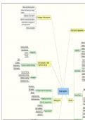 MNG3702 Mindmap and summary