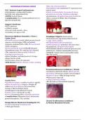 Oral-Maxillofacial-Pathology-Autoimmune-Immune-Related-.pdf