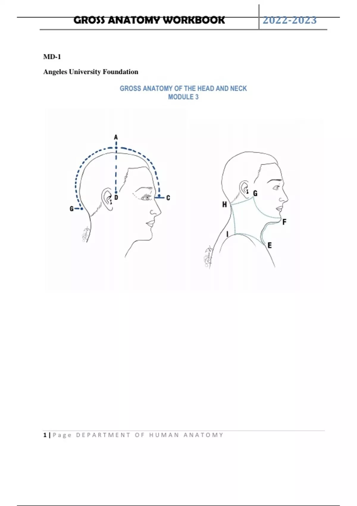 GROSS ANATOMY OF THE HEAD AND NECK MODULE 3 - GROSS ANATOMY OF THE HEAD ...