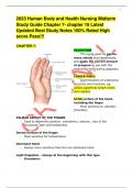 2023 Human Body and Health Nursing Midterm Study Guide Chapter 7- chapter 19 Latest Updated Best Study Notes 100% Rated High score Pass!!!