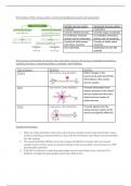 Biopsychology Notes - A level AQA Psychology