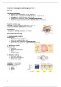 Samenvatting Het oog en ademhalingstelsel