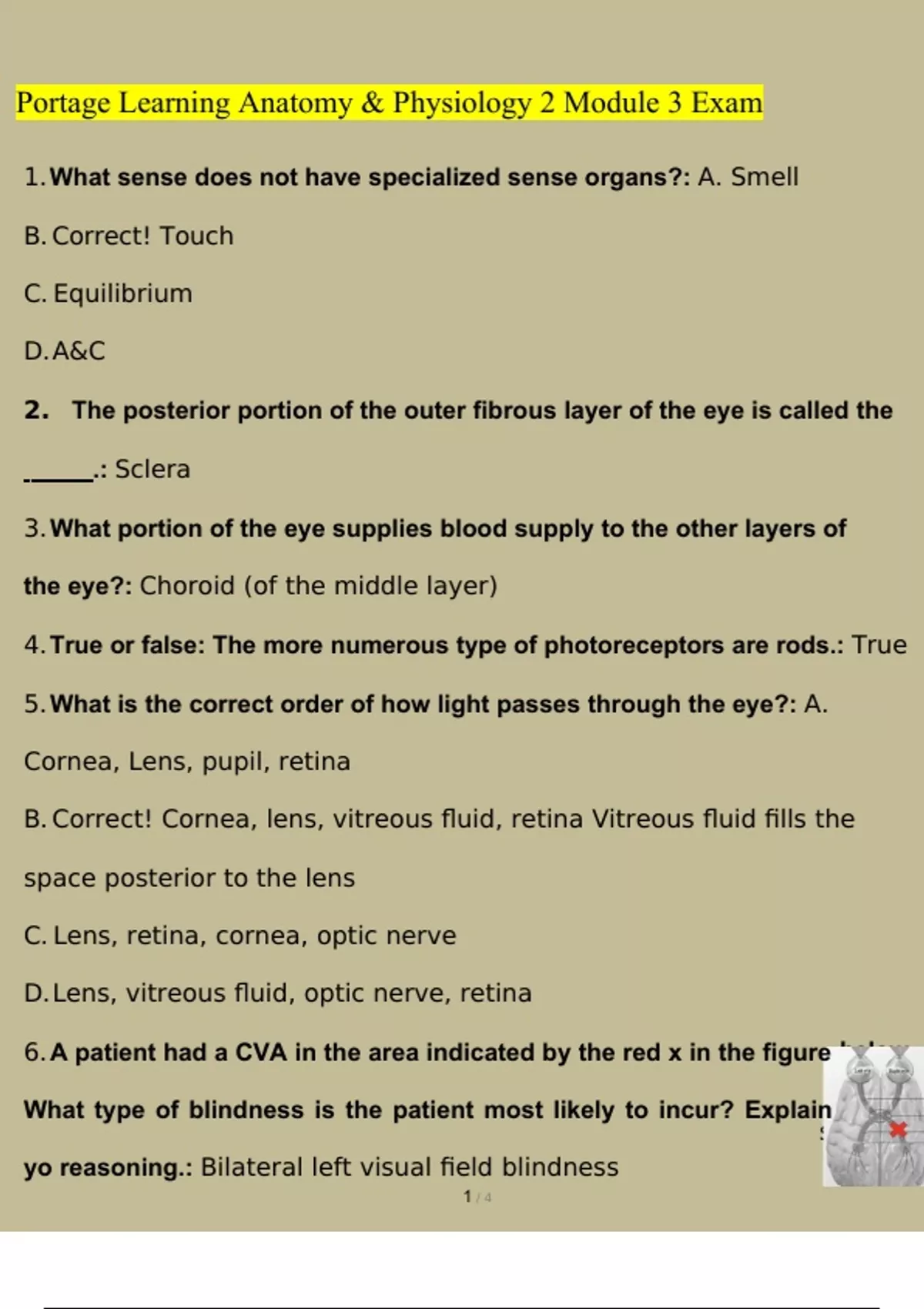 Portage Learning Anatomy & Physiology 2 Module 3 Exam UPDATE - Portage ...