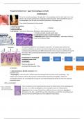 Summary of the 2nd exam of Pathology at VU Amsterdam