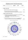 Biologieklausur Genetik und Proteinbiosynthese (+ Lösung)