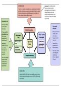 Working Memory Model Diagram/Mind map