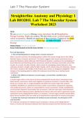 Straighterline Anatomy and Physiology 1 Lab BIO201L Lab 7 The Muscular System Worksheet 2023.