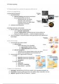 Moleculaire Biologie 2023 (B-B1MB05) - kennisclips - deeltoets 2