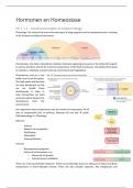 Samenvatting Hormonen en Homeostase (BMW21405)