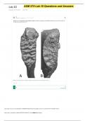 ASM 275  LAB 10 QUESTIONS  AND ANSWERS 