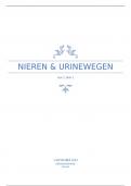 nieren & urinewegen - samenvatting