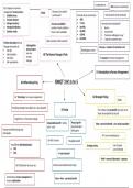 Revenue Management 3 (RMGT 3 mindmap)