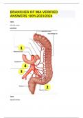 BRANCHES OF IMA VERIFIED ANSWERS 100%2023/2024