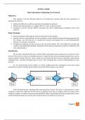 Introduction to Networking - Spanning Tree Protocol